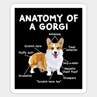 Anatomy of a Corgi Sticker